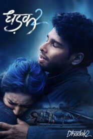 Dhadak 2 (2025) Hindi PreDVD
