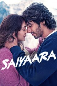 Saiyaara (2025) Hindi HDTS V2